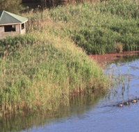 Spring Creek Bird Hide - Accommodation Redcliffe