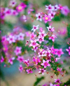 Kalbarri National Park - Accommodation Redcliffe 2