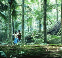 Illinbah circuit - Accommodation Redcliffe