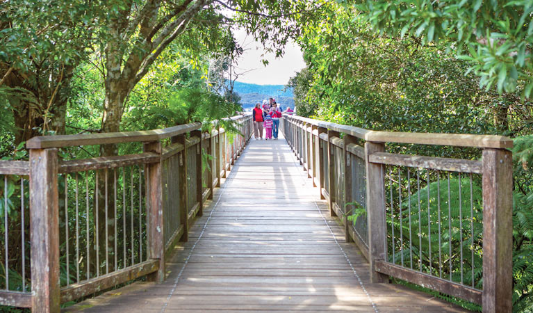 Dorrigo Mountain NSW Accommodation Redcliffe