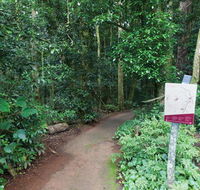 Walk with the Birds boardwalk - Accommodation Redcliffe