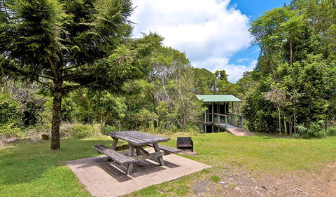 Antarctic Beech Picnic Area - Accommodation Redcliffe 1