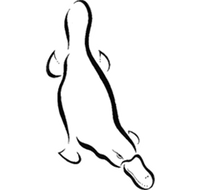 Platypus Gallery