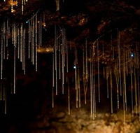 Tamborine Mountain Glow Worm Caves - Accommodation Redcliffe