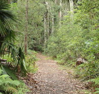 Lake walking track