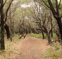 Pretty Beach to Snapper Point walking track - Accommodation Redcliffe