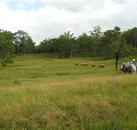 Numinbah Valley Adventure Trails - Accommodation Redcliffe