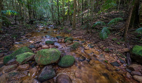 Starrs Creek Picnic Area - Accommodation Redcliffe 0