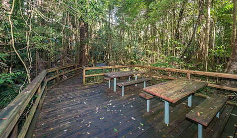 Starrs Creek Picnic Area - Accommodation Redcliffe 1