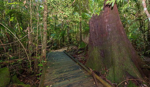 Starrs Creek Picnic Area - Accommodation Redcliffe 2