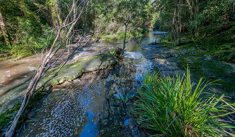Dawson River Walking Track - Accommodation Redcliffe 0