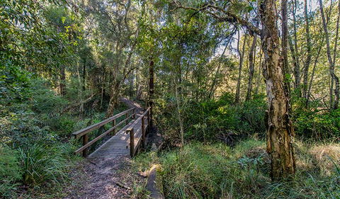 Dawson River Walking Track - Accommodation Redcliffe 1