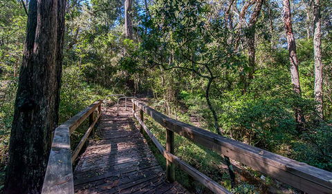 Dawson River Walking Track - Accommodation Redcliffe 3
