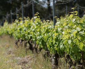 Barton Jones Wines - Accommodation Redcliffe 2