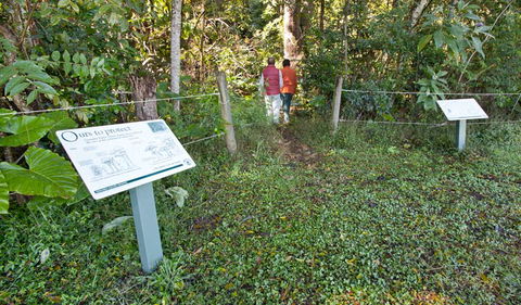 Rainforest Walk - Accommodation Redcliffe 0