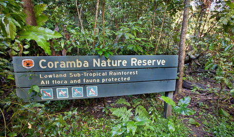 Rainforest Walk - Accommodation Redcliffe 1