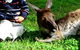 Bunbury Wildlife Park - thumb 0