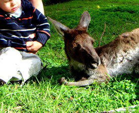 Bunbury Wildlife Park - Accommodation Redcliffe 0