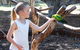 Bunbury Wildlife Park - thumb 1