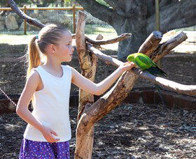 Bunbury Wildlife Park - Accommodation Redcliffe 1