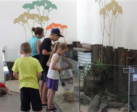 Bunbury Wildlife Park - Accommodation Redcliffe 2