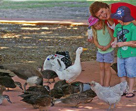 Bunbury Wildlife Park - Accommodation Redcliffe 3