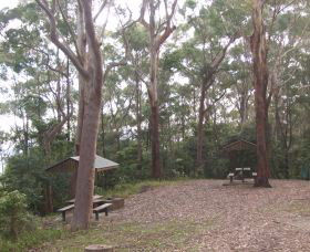 Orara East State Forest - Accommodation Redcliffe 2