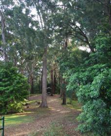 Orara East State Forest - Accommodation Redcliffe 1