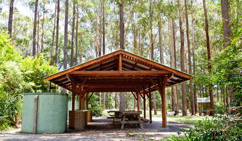 Bongil Picnic Area - Accommodation Redcliffe 0