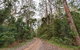 End Peak Walking Track - thumb 0