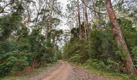 End Peak Walking Track - Accommodation Redcliffe 0