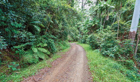 End Peak Walking Track - Accommodation Redcliffe 2