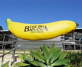 The Big Banana - Accommodation Redcliffe 0