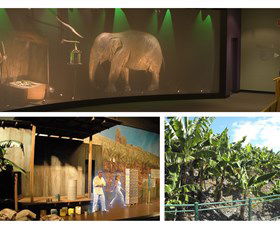 The Big Banana - Accommodation Redcliffe 2