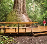 Burrawan State Forest - Accommodation Redcliffe