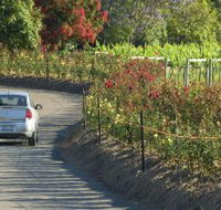 Cassegrain Wines - Accommodation Redcliffe