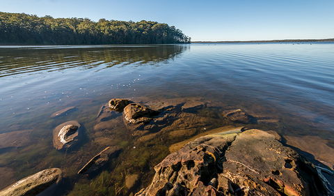 Queens Lake Nature Reserve - Accommodation Redcliffe 0