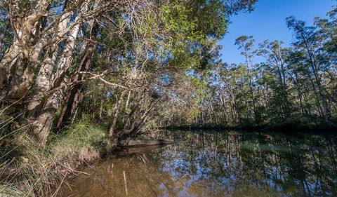 Queens Lake Nature Reserve - Accommodation Redcliffe 3