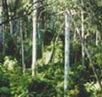Lind National Park - Accommodation Redcliffe