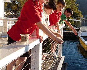Dunbogan Boatshed - Accommodation Redcliffe 3