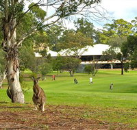 Pambula Merimbula Golf Club - Accommodation Redcliffe