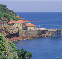 Merimbula Aquarium - Accommodation Redcliffe