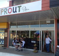 Sprout Eden - Accommodation Redcliffe
