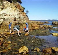 Sapphire Coast Marine Discovery Centre - Accommodation Redcliffe
