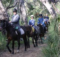 Mirravale Horse Riding School - Accommodation Redcliffe