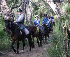 Mirravale Horse Riding School - Accommodation Redcliffe 0