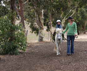 Mirravale Horse Riding School - Accommodation Redcliffe 2
