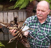 Lobster Ponds - Accommodation Redcliffe