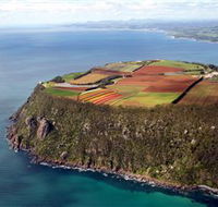 Table Cape - Accommodation Redcliffe
