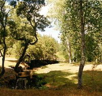 Oldina Picnic Area - Accommodation Redcliffe